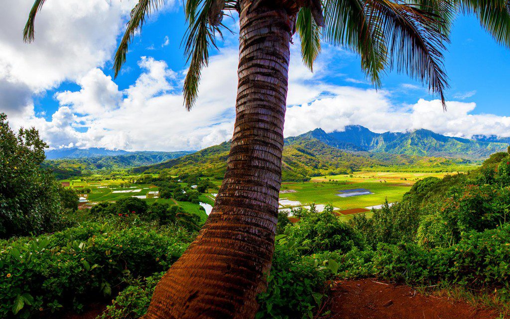 Hawaii